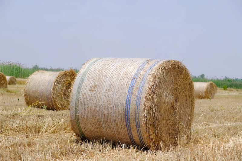 Bale Net Wrap