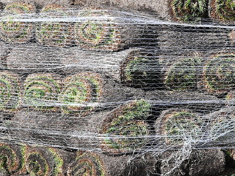 Pallet Net Wrap export packing on pallet